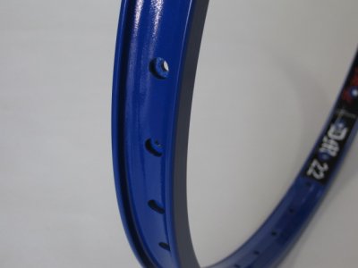 画像3: ALEX DM22 RIM 36H PC BLUE